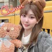 ヒメ日記 2025/03/21 11:27 投稿 ちむ先生 アロー