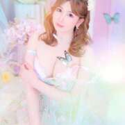 ヒメ日記 2025/04/18 11:50 投稿 ちむ先生 アロー