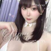 ヒメ日記 2025/04/18 13:21 投稿 ちむ先生 アロー