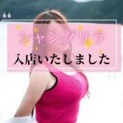 ヒメ日記 2025/03/04 14:07 投稿 斎藤なつき Club Shangrila（クラブシャングリラ）