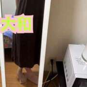 ヒメ日記 2025/04/30 08:30 投稿 奏（かなで） 女々艶 大和店