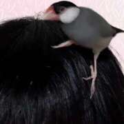 ヒメ日記 2025/09/15 19:02 投稿 瑠々(るる) PLUS梅田店