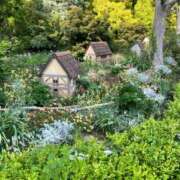 ヒメ日記 2025/05/04 22:41 投稿 はなよ 船橋ときめき女学園