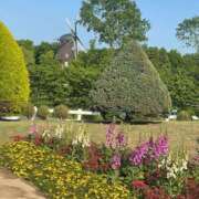 ヒメ日記 2025/05/10 08:01 投稿 はなよ 船橋ときめき女学園