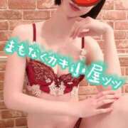 ヒメ日記 2025/06/19 01:02 投稿 伊吹きこ アラフォーna奥様 アラフィフna奥様（埼玉ハレ系）