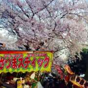 ヒメ日記 2025/04/05 13:18 投稿 えみか 横浜人妻ヒットパレード（シンデレラグループ）