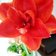 ヒメ日記 2025/07/09 09:22 投稿 えみか 横浜人妻ヒットパレード（シンデレラグループ）