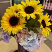 ヒメ日記 2025/07/17 16:48 投稿 えみか 横浜人妻ヒットパレード（シンデレラグループ）