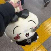 ヒメ日記 2025/05/24 15:45 投稿 まお シルクハット