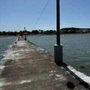 ヒメ日記 2025/06/15 07:33 投稿 まお シルクハット