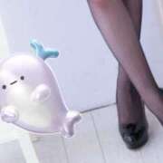 ももは 10/12 千葉ミセスアロマ（ユメオト）