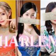 ヒメ日記 2025/03/31 10:58 投稿 白石　タオ 白夜