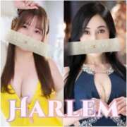 ヒメ日記 2026/02/02 10:00 投稿 白石　タオ 白夜