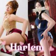 ヒメ日記 2026/04/02 10:02 投稿 白石　タオ 白夜