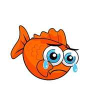 ヒメ日記 2025/09/19 10:49 投稿 にしん チューリップ福井本館