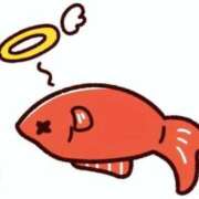 にしん 予約してくれた方読んで！！ チューリップ福井別館