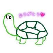 ヒメ日記 2025/05/01 19:20 投稿 なつき S級鑑定団