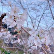 ヒメ日記 2025/04/04 18:34 投稿 藤乃 池田マッサージ