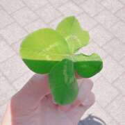 ヒメ日記 2025/06/01 21:32 投稿 藤乃 池田マッサージ