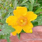 ヒメ日記 2025/06/12 08:32 投稿 藤乃 池田マッサージ