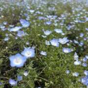 ヒメ日記 2025/06/22 19:50 投稿 白雪まい【OL委員会】 柏OL委員会