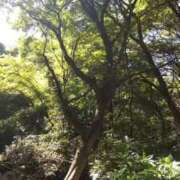 ヒメ日記 2025/05/10 11:36 投稿 遥香 久留米デリヘルセンター