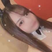 ヒメ日記 2025/03/11 22:57 投稿 ななみ 折り紙 ORIGAMI