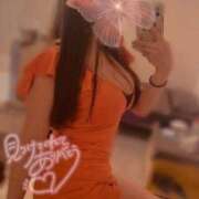 ヒメ日記 2025/03/12 12:57 投稿 ななみ 折り紙 ORIGAMI