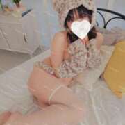 ヒメ日記 2025/04/06 23:23 投稿 ヒナノ PLATINUM