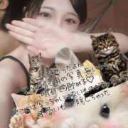 ヒメ日記 2025/07/09 13:38 投稿 ヒナノ PLATINUM