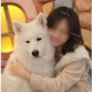 ヒメ日記 2026/02/11 15:37 投稿 ヒナノ PLATINUM