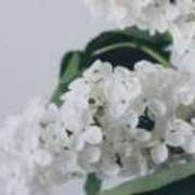 ヒメ日記 2025/08/01 23:00 投稿 平本りん OtoLABO～前立腺マッサージ（ドライオーガズム）専門店～