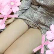 ヒメ日記 2025/03/14 09:47 投稿 りいさ 柏人妻花壇