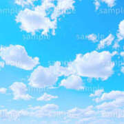 ヒメ日記 2025/03/07 04:24 投稿 蓮見うみ(れんみうみ) 五十路マダムエクスプレス厚木店(カサブランカグループ)