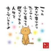 ヒメ日記 2025/03/16 16:20 投稿 蓮見うみ(れんみうみ) 五十路マダムエクスプレス厚木店(カサブランカグループ)
