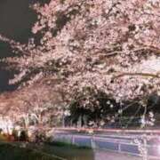 ヒメ日記 2025/04/08 19:48 投稿 蓮見うみ(れんみうみ) 五十路マダムエクスプレス厚木店(カサブランカグループ)