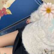 ヒメ日記 2025/04/09 09:26 投稿 蓮見うみ(れんみうみ) 五十路マダムエクスプレス厚木店(カサブランカグループ)