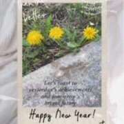 ヒメ日記 2025/04/15 10:28 投稿 蓮見うみ(れんみうみ) 五十路マダムエクスプレス厚木店(カサブランカグループ)