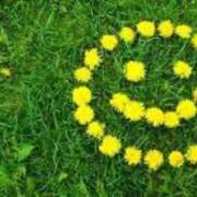 ヒメ日記 2025/05/05 10:22 投稿 蓮見うみ(れんみうみ) 五十路マダムエクスプレス厚木店(カサブランカグループ)