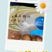 ヒメ日記 2025/07/08 13:02 投稿 蓮見うみ(れんみうみ) 五十路マダムエクスプレス厚木店(カサブランカグループ)