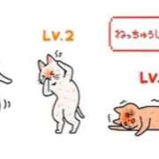ヒメ日記 2025/08/06 11:36 投稿 蓮見うみ(れんみうみ) 五十路マダムエクスプレス厚木店(カサブランカグループ)
