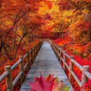 ヒメ日記 2025/09/18 17:14 投稿 蓮見うみ(れんみうみ) 五十路マダムエクスプレス厚木店(カサブランカグループ)