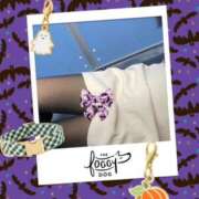 ヒメ日記 2025/10/17 11:44 投稿 蓮見うみ(れんみうみ) 五十路マダムエクスプレス厚木店(カサブランカグループ)