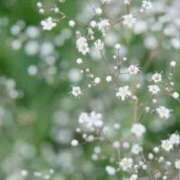 ヒメ日記 2026/03/08 19:16 投稿 蓮見うみ(れんみうみ) 五十路マダムエクスプレス厚木店(カサブランカグループ)