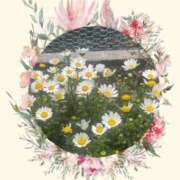 ヒメ日記 2026/03/16 12:16 投稿 蓮見うみ(れんみうみ) 五十路マダムエクスプレス厚木店(カサブランカグループ)