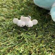 ヒメ日記 2025/05/07 12:04 投稿 青井 のあ 妄想する女学生たち 梅田校