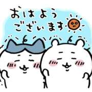 ヒメ日記 2026/07/23 09:34 投稿 体験入店 れい コイバ