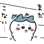 ヒメ日記 2026/09/16 11:54 投稿 体験入店 れい コイバ