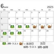 ヒメ日記 2025/06/15 19:07 投稿 清宮　さら OLセレクション宇都宮店