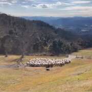 ヒメ日記 2026/03/05 12:14 投稿 清宮　さら OLセレクション宇都宮店